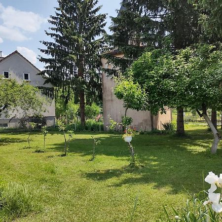 Villa Drenje Kljuc Brdovecki Dış mekan fotoğraf