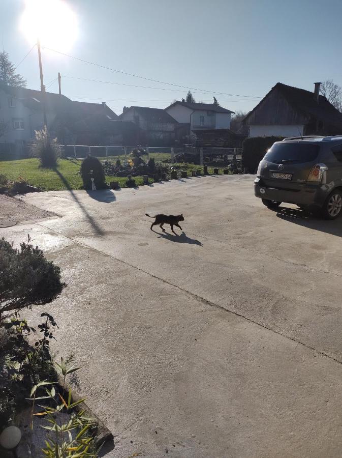 Villa Drenje Kljuc Brdovecki Dış mekan fotoğraf