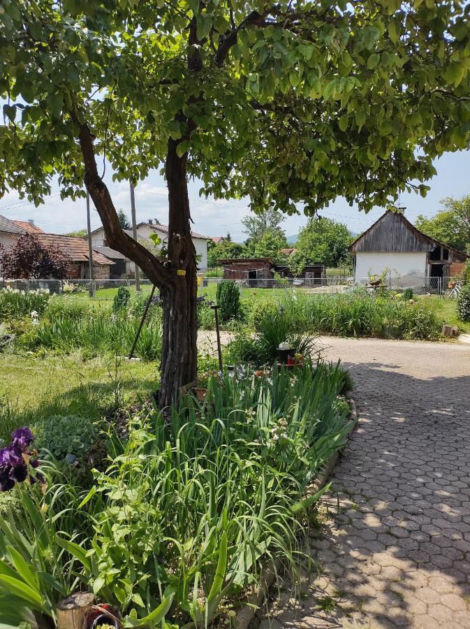 Villa Drenje Kljuc Brdovecki Dış mekan fotoğraf