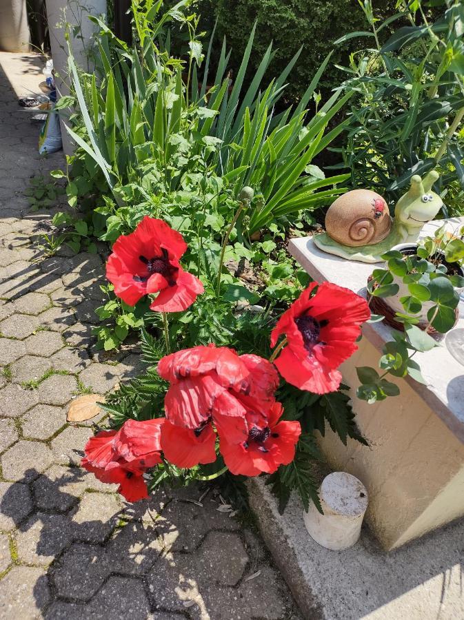Villa Drenje Kljuc Brdovecki Dış mekan fotoğraf