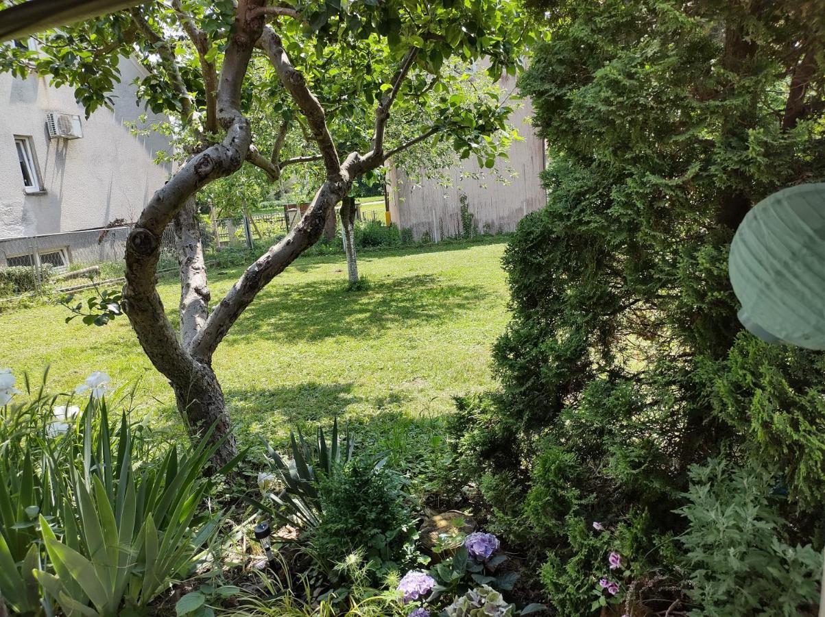 Villa Drenje Kljuc Brdovecki Dış mekan fotoğraf