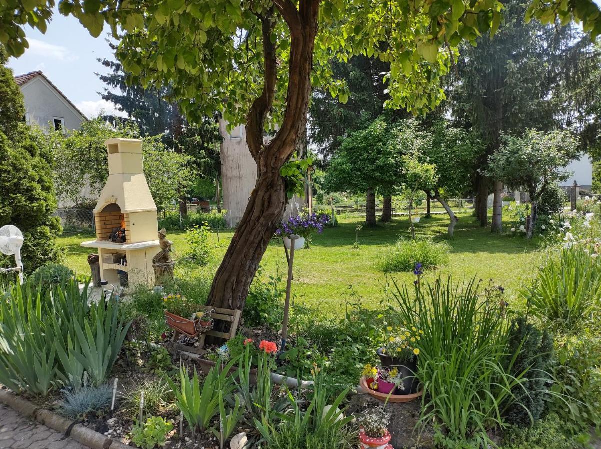 Villa Drenje Kljuc Brdovecki Dış mekan fotoğraf